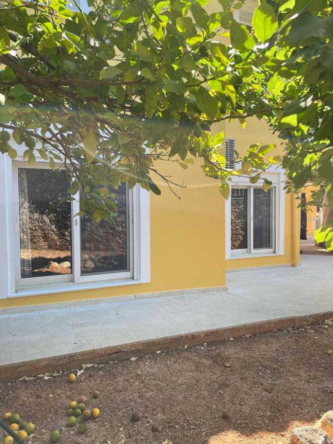 The Twin Pines Home Kounoupidhiana Ngoại thất bức ảnh